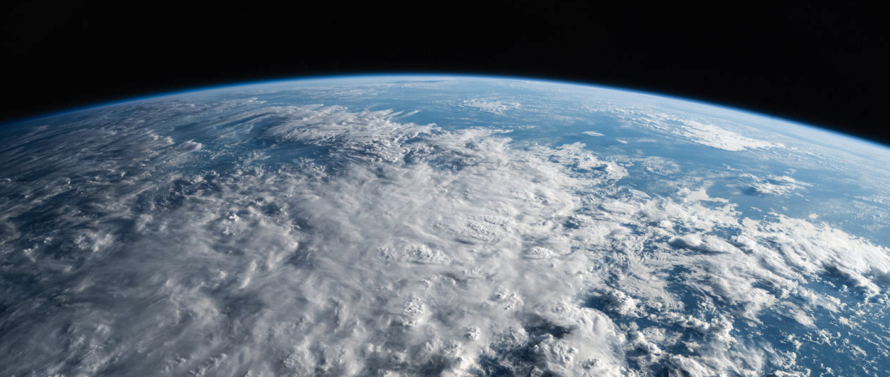 2024 carbon market predictions