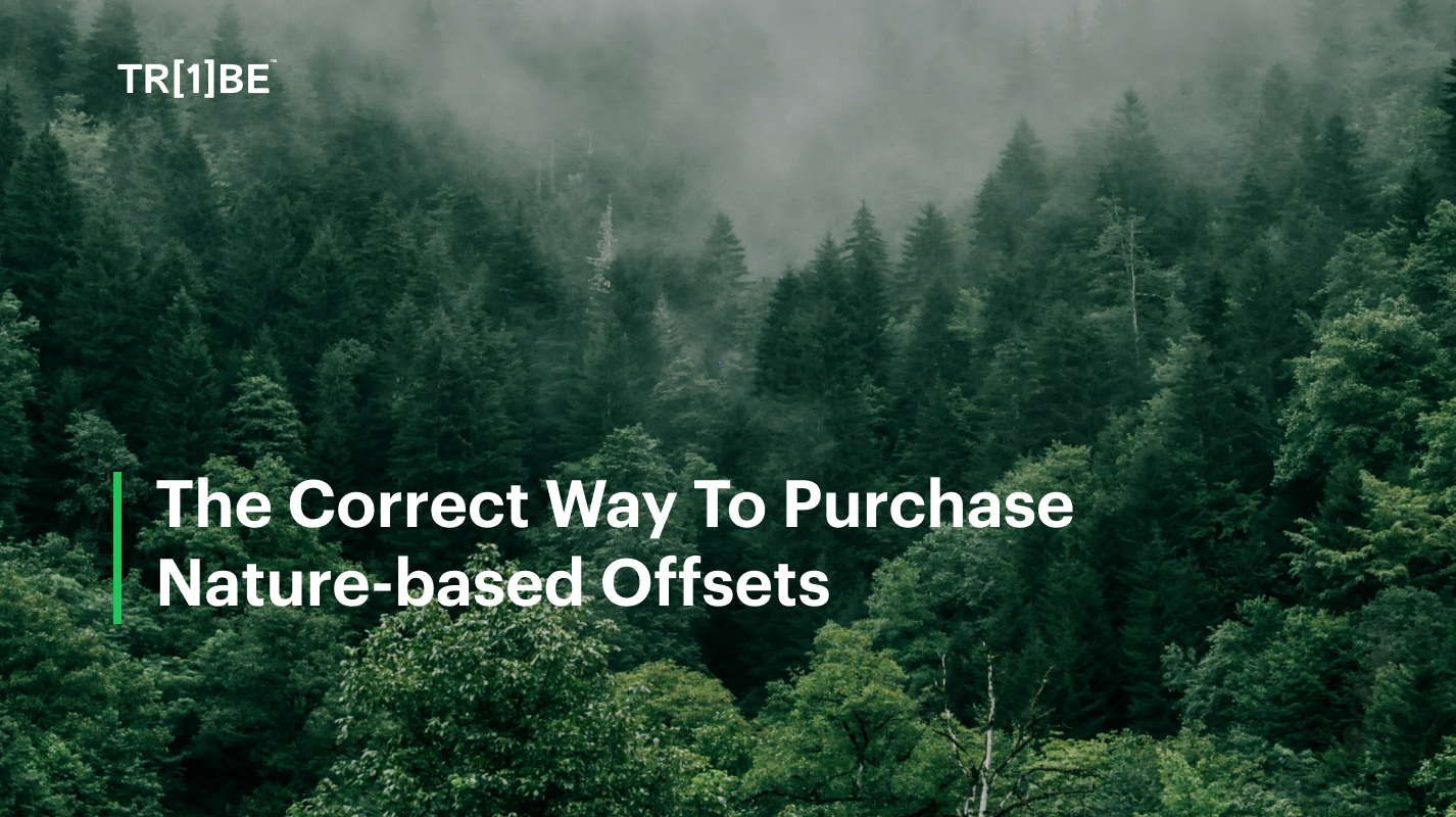 The Correct Way To Purchase Nature-based Offsets