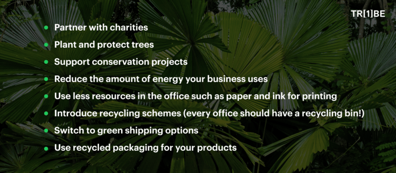 bullet point list how to start your net zero journey
