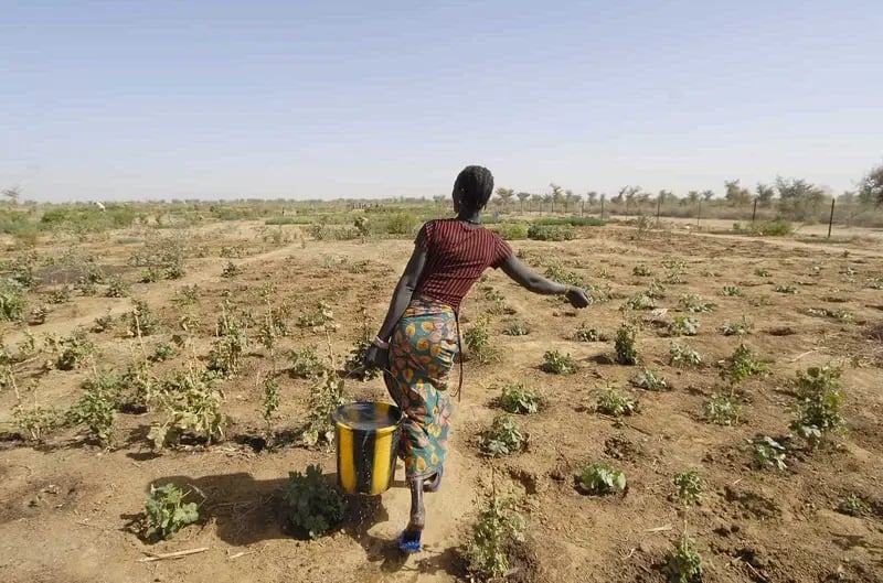 cop 27 discussions drough and climate change in africa