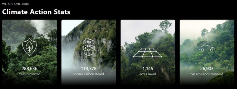 koi footwear stats