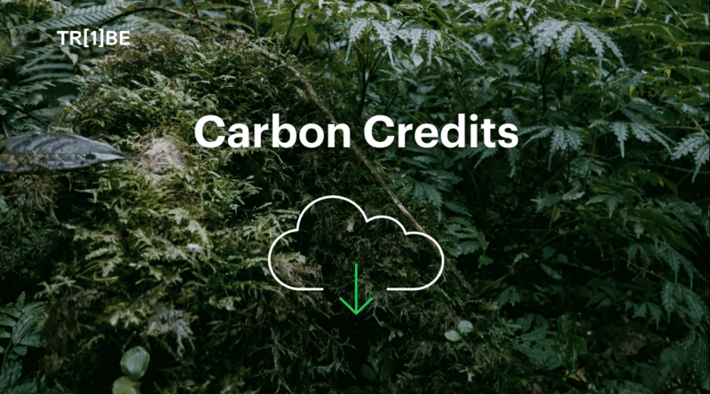 one tribe carbon credits for net zero businesses